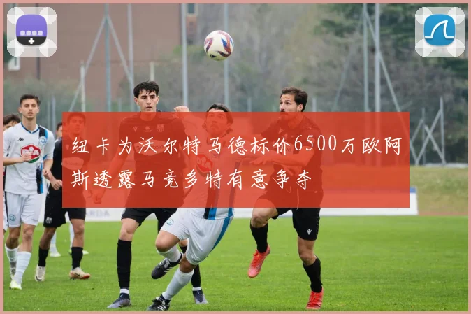 纽卡为沃尔特马德标价6500万欧阿斯透露马竞多特有意争夺